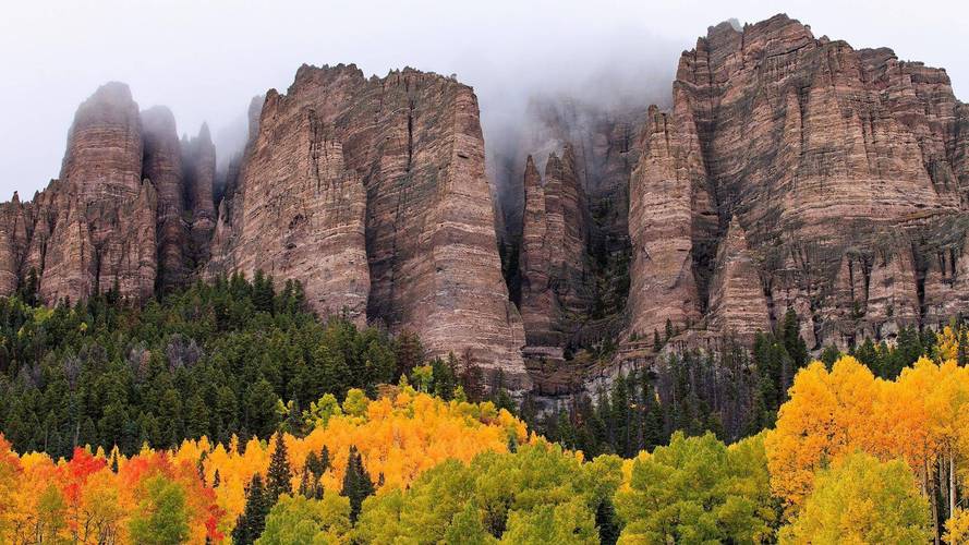 shadow - Mercado de apostas brasileiro