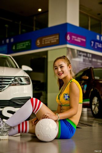 família-dresch - Mercado de apostas brasileiro